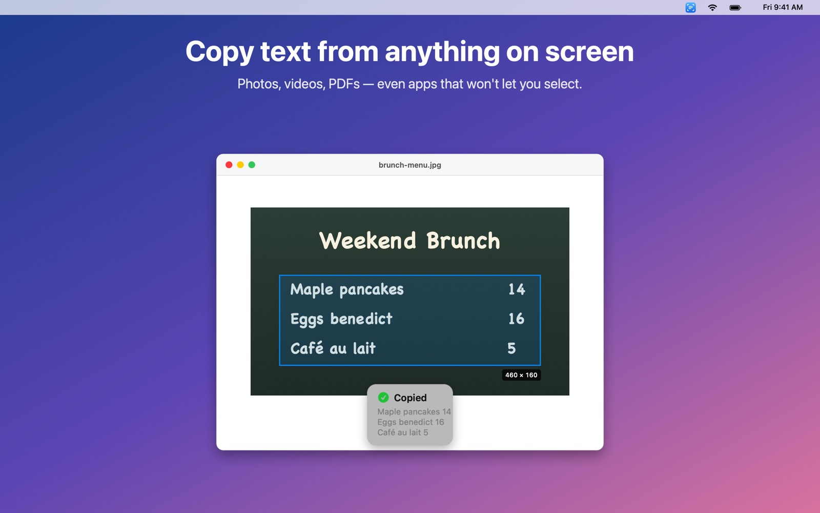 Text Snatch selecting a region of the screen to copy its text